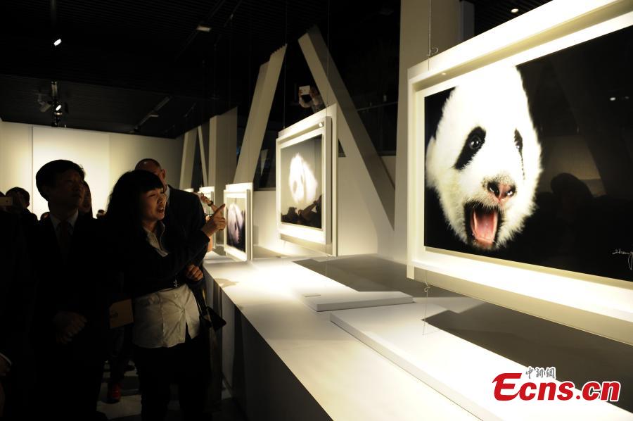 Panda art exhibition kicks off in Chengdu
