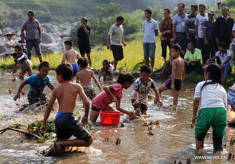 Miao ethnic group celebrate local festival in S China