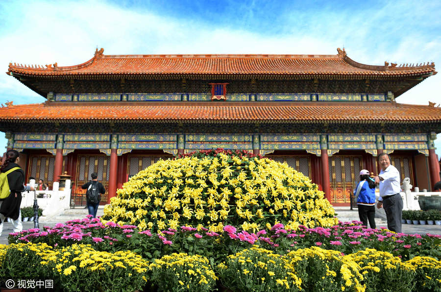 Chrysanthemums from Kaifeng bloom in the Forbidden City