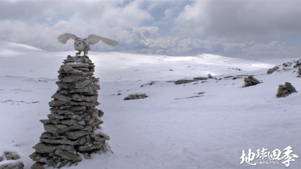 French documentary 'The Season' takes Chinese critics by storm