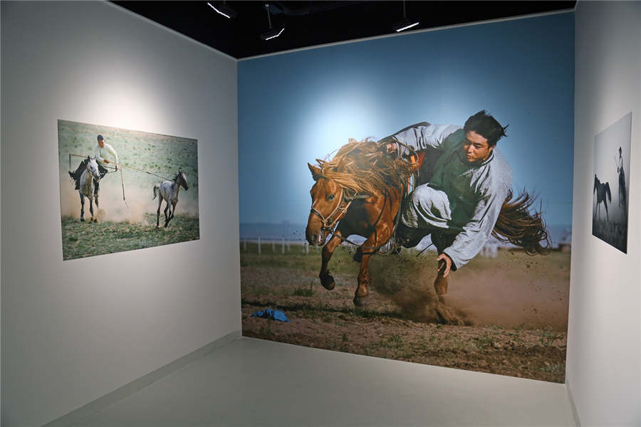 Photo exhibition offers glimpse of Chinese and Qatari cultures