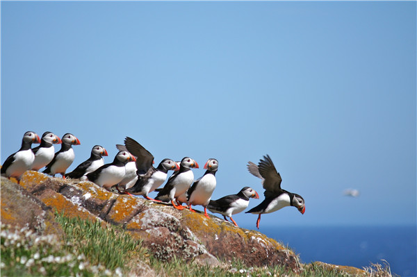 New film festival in China screens nature films