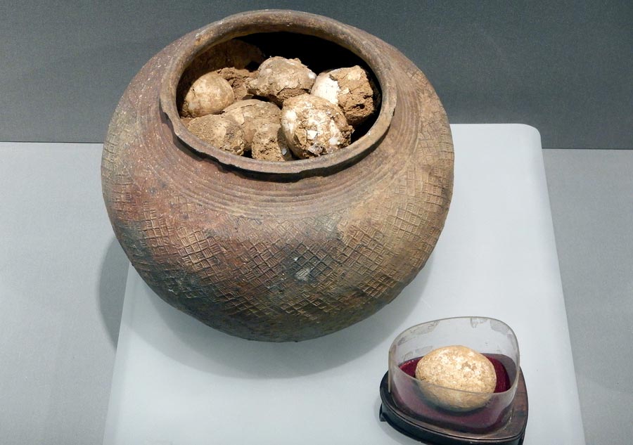 2,800-year-old fossilized eggs a drawcard in Nanjing Museum