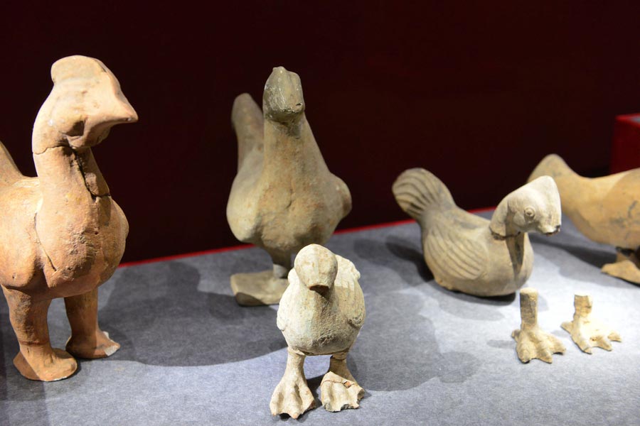 2,800-year-old fossilized eggs a drawcard in Nanjing Museum