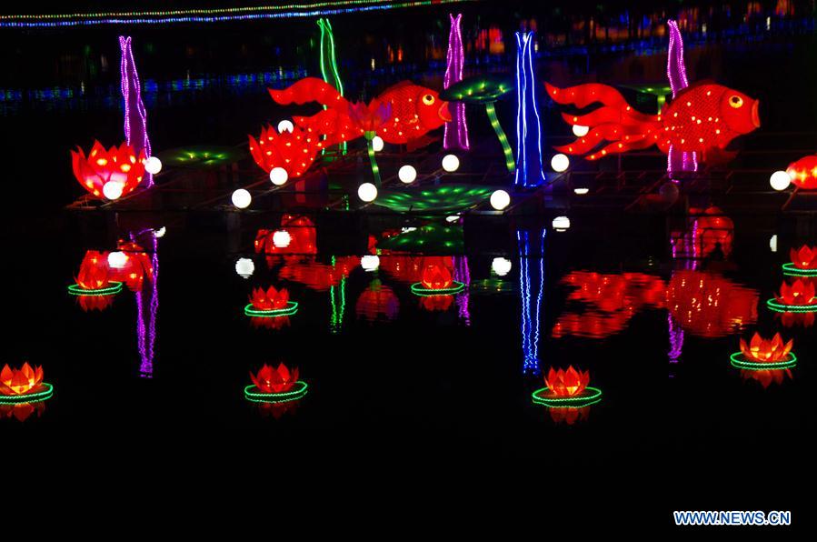 Festival lanterns lit up to greet upcoming Spring Festival in Henan
