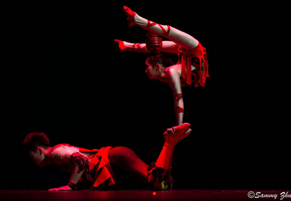 Happy Chinese New Year celebrations kick off with acrobatics in New Zealand