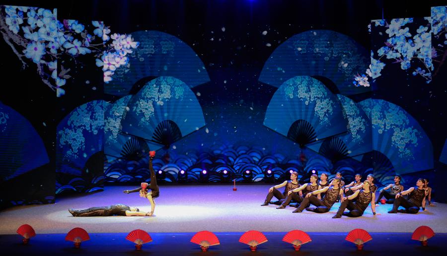 Chinese acrobats perform at China-South Africa gala