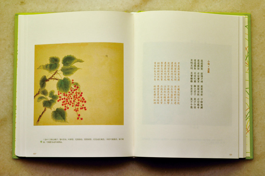Rediscover 'Book of Songs' with watercolor illustrations