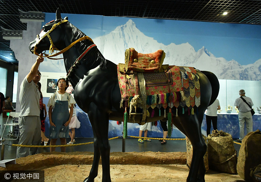 'Tea Horse Road' cultural relics on display in N China