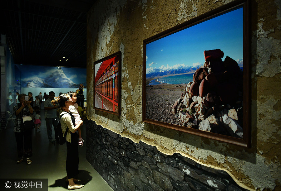 'Tea Horse Road' cultural relics on display in N China