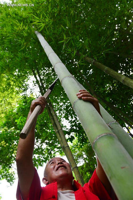 Bamboo raft making revived in Guizhou