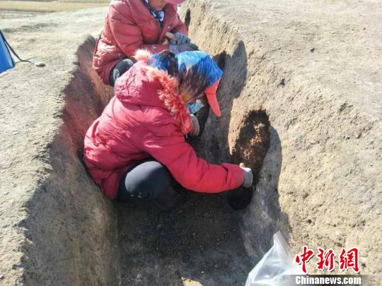 Neolithic relic sites discovered in NE China