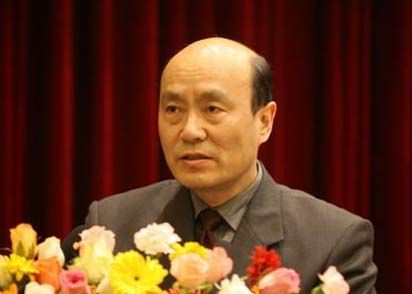 2009年落马官员