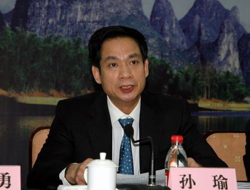 2009年落马官员