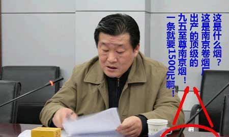 2009年落马官员