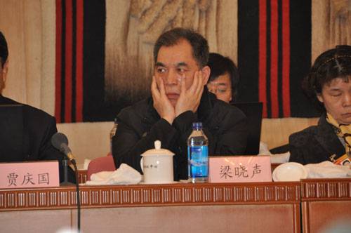 梁晓声委员:“灰社会”比黑社会更可怕