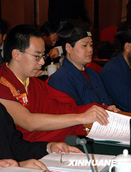 十一世班禅的“两会表情”