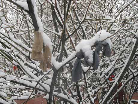 玉树灾区降雪未对群众生活产生大影响