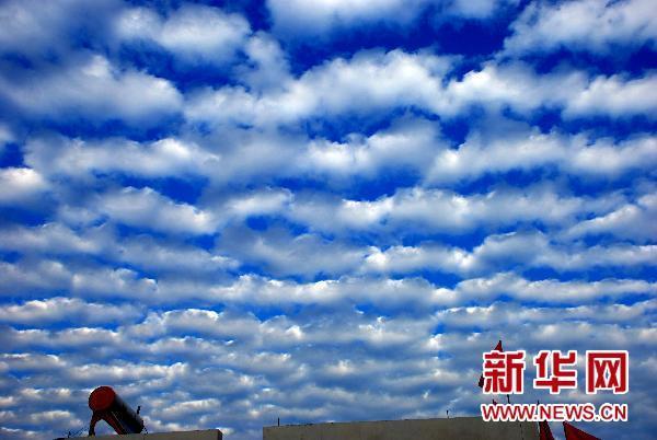 山东枣庄天空出现“鱼鳞云”