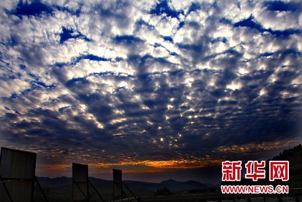 山东枣庄天空出现“鱼鳞云”