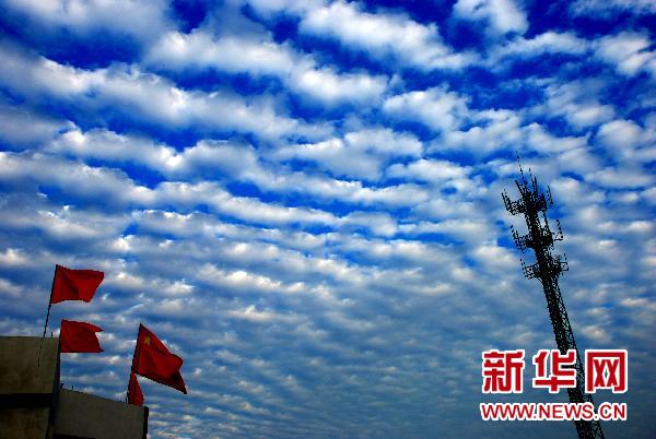 山东枣庄天空出现“鱼鳞云”