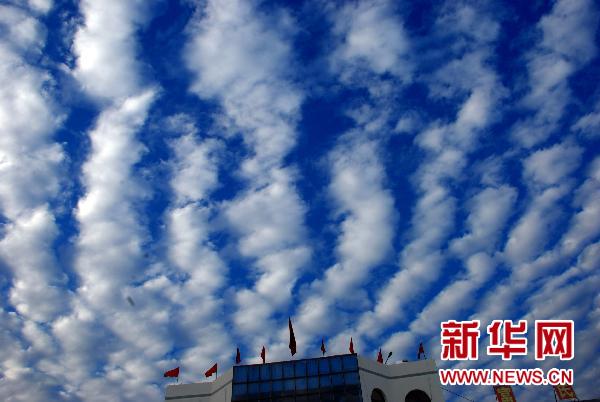 山东枣庄天空出现“鱼鳞云”