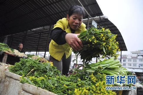 “1元菜”重回广西南宁市场