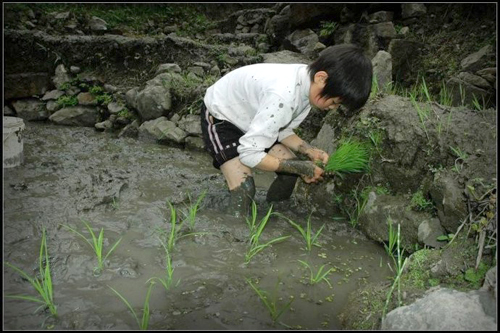 六一许愿：妈妈 卖了我吧 治好爸爸的怪病