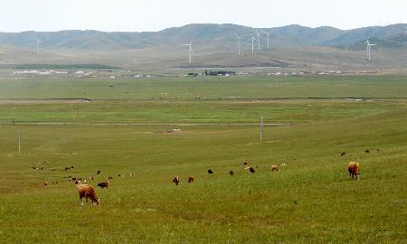内蒙古主要牧区牧草秋季生产开始