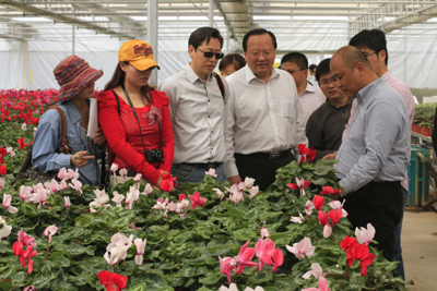 山东援疆:正在实施的一场深刻变革
