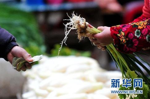 拨云破雾探价格——代表委员把脉2011年四大价格迷局