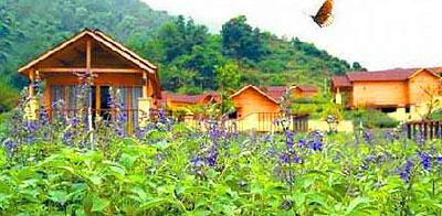 南粤赏花摘果大推荐
