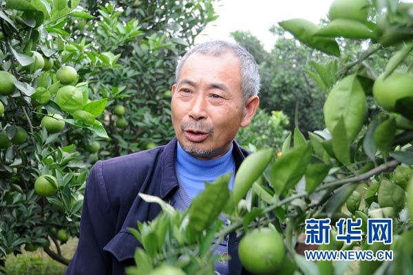 图片故事:潇湘村的幸福果园
