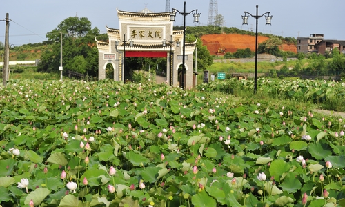 李家大院门口荷塘