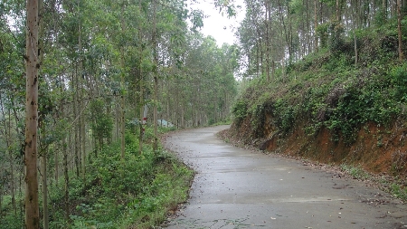 发现乡村校园之美