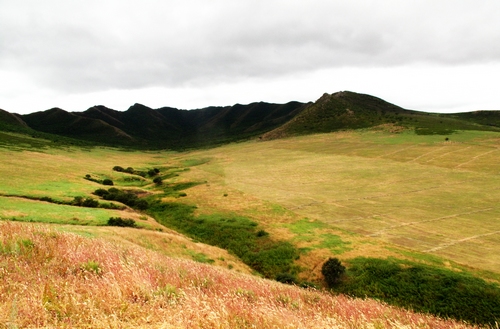 扎鲁特山地草原风光