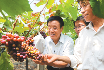 蒋巷好支书45年“让财”上亿