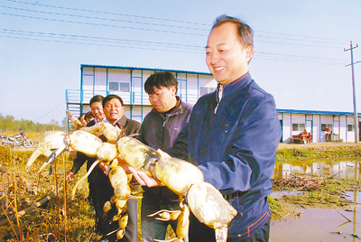 履职为民四年间