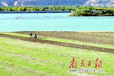 行走青海贵德 感受“塞外小江南”