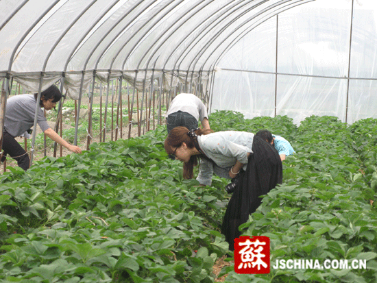 对口援建成效显著 江苏助绵竹坚强崛起