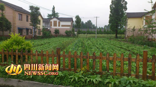 都江堰新农村 来了就不想走