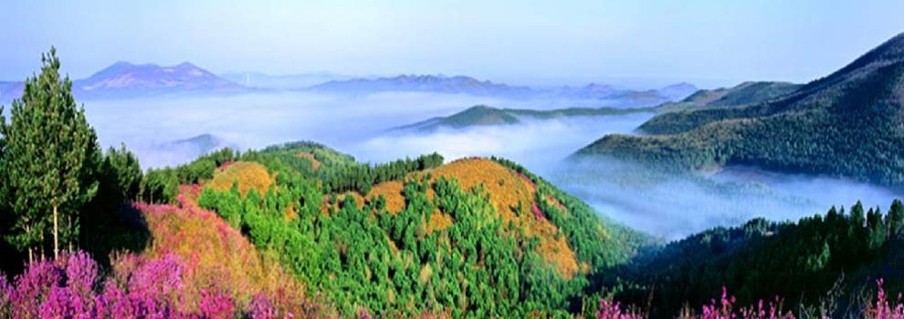 紫云岭森林公园