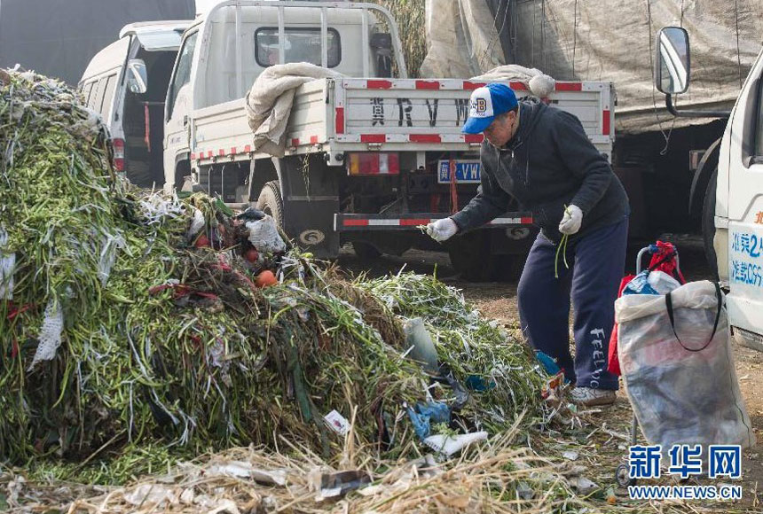 与高级酒楼会所的一宴数万元乃至数十万元相比，在北京新发地蔬菜批发市场，一名老人垃圾堆里捡拾能食用的菜叶。