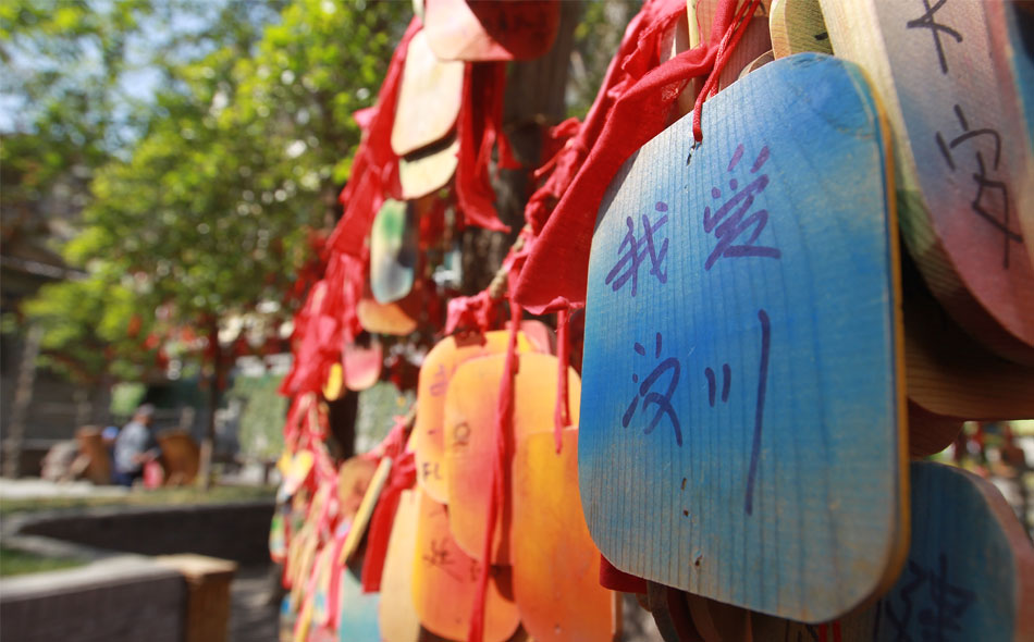 正是映秀新绿时