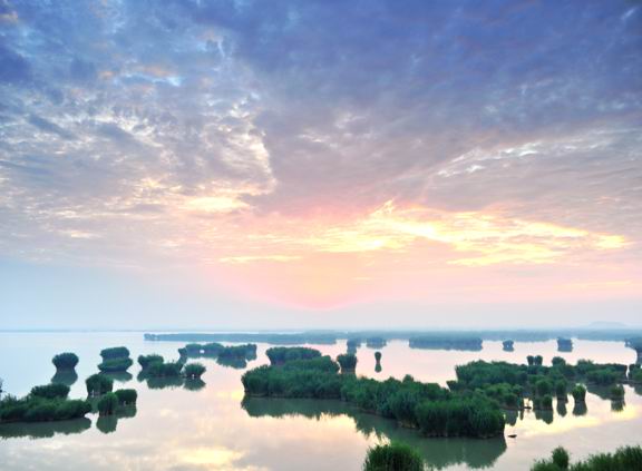 《美丽中国·湿地行》沙湖专题片9月3日央视播出