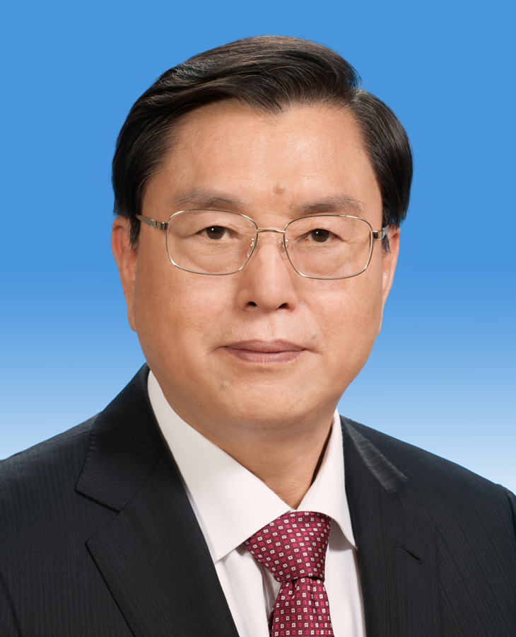 张德江当选第十二届全国人民代表大会常务委员会委员长