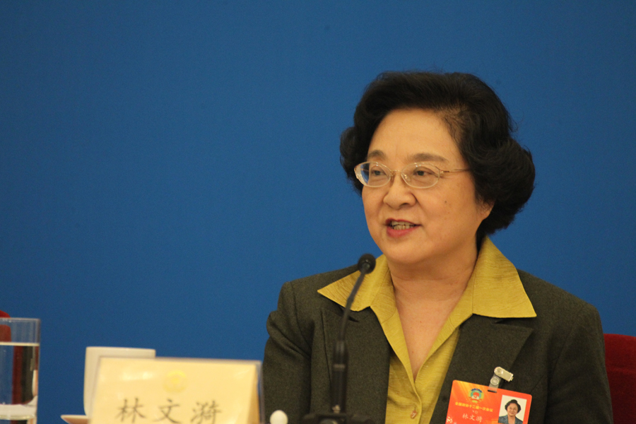 台盟中央主席林文漪接受媒体采访
