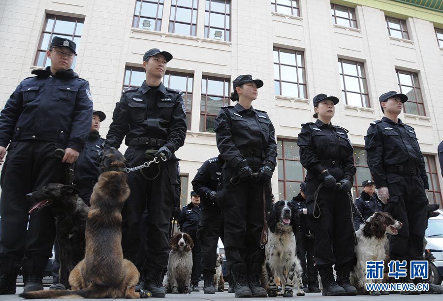 警犬“助阵”两会安保工作:大会堂内细致检查