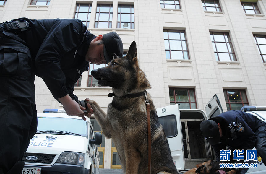 警犬“助阵”两会安保工作:大会堂内细致检查