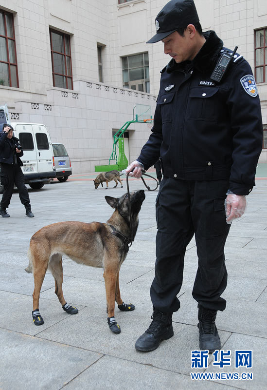 警犬“助阵”两会安保工作:大会堂内细致检查